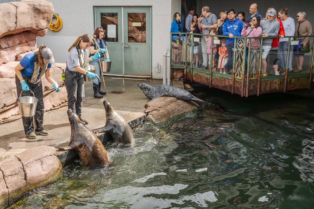 Interactive Touch Tank
