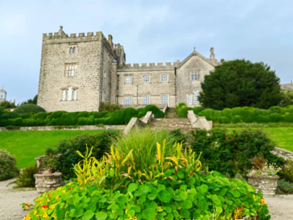 The Enchanting Gardens