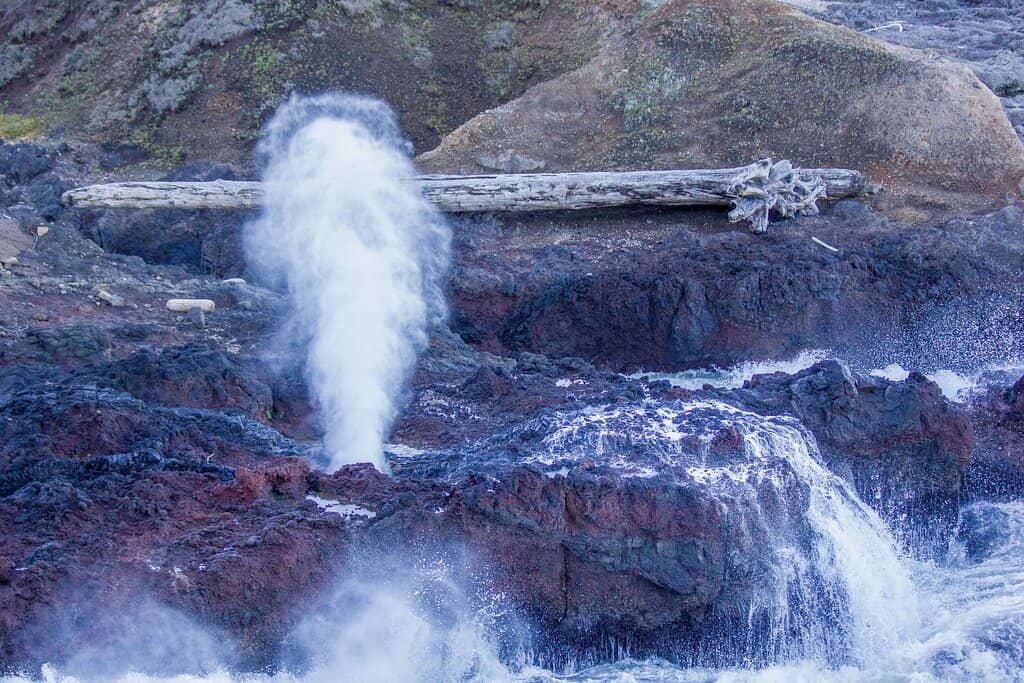 Tide Pool Exploration