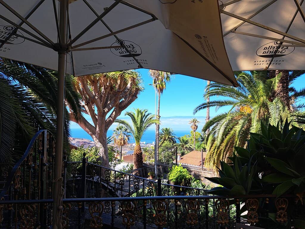 Beautiful Garden and Courtyard