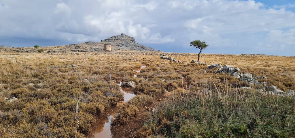 Coastal Scenery & Wildlife