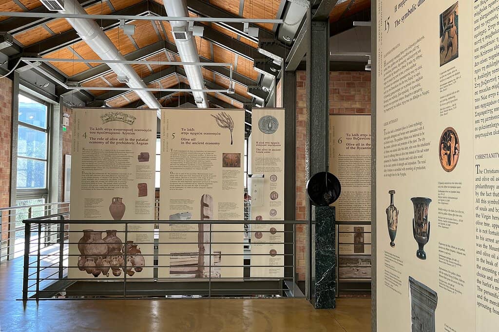 Fossilized Olive Leaves