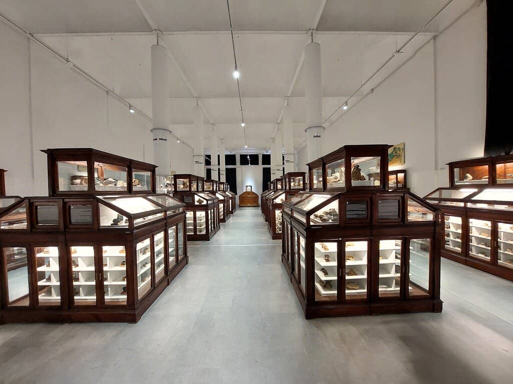 Mineral and Fossil Collection