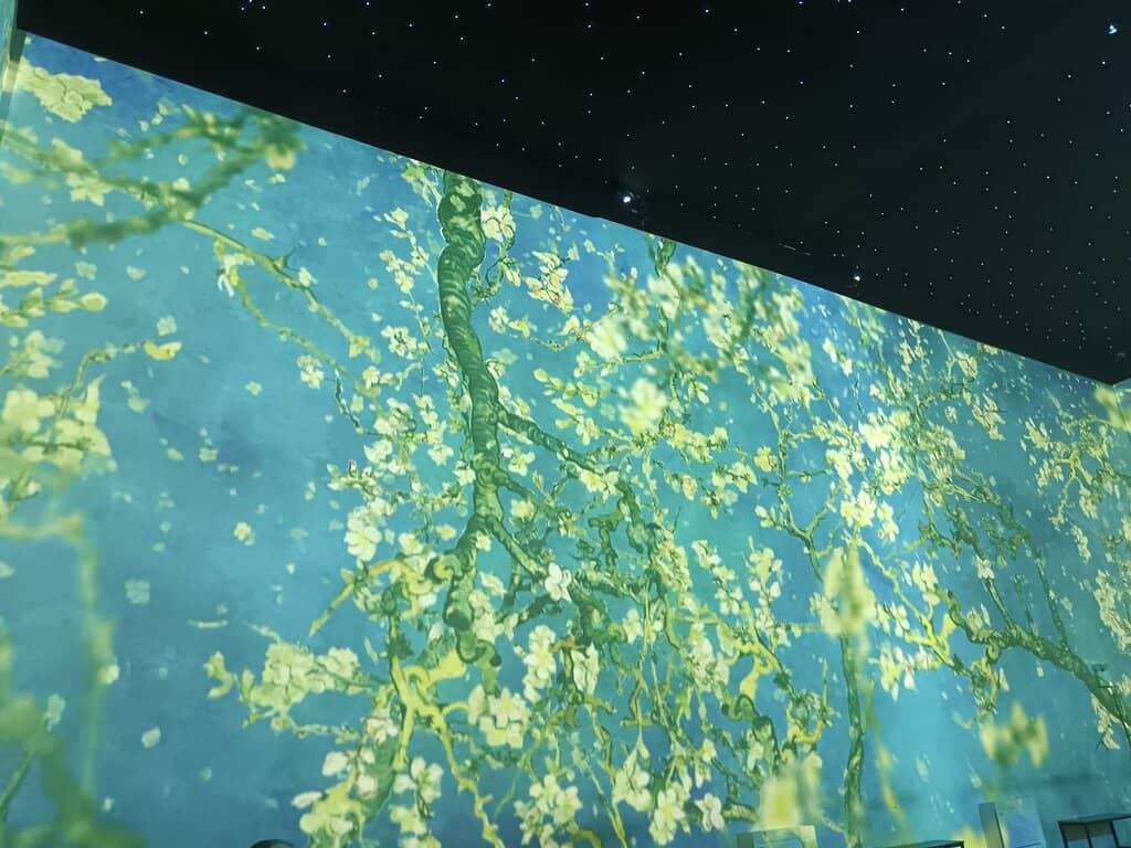 Interactive Exhibits