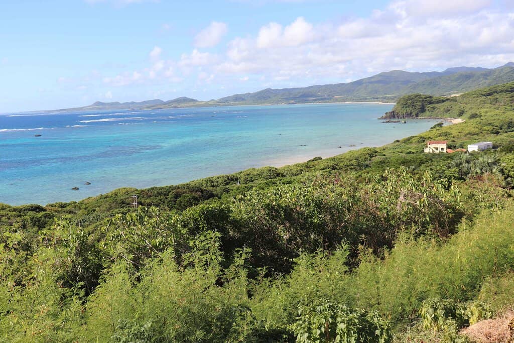 Serene Coastal Drive
