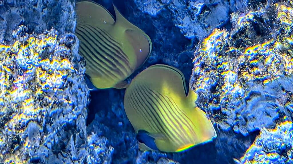 Interactive Exhibits