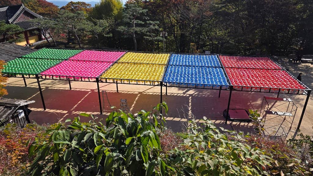 Mountain Forest Walk