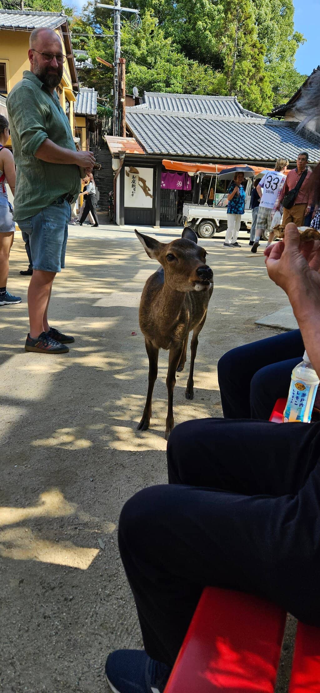 Miyajima Seaside Promenade