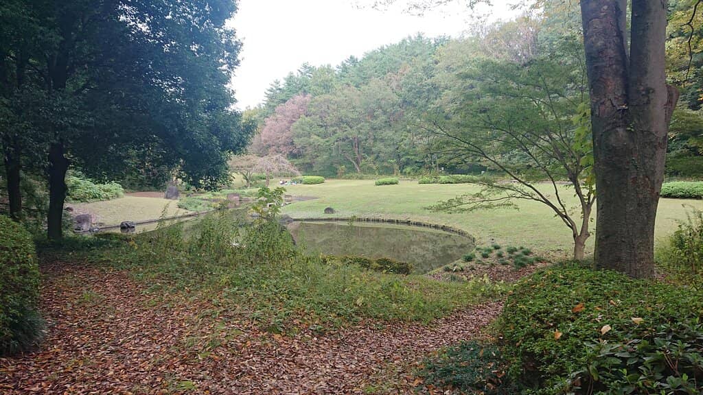Seasonal Flower Gardens