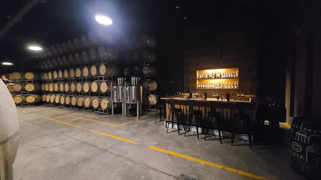 Andes Mountain Views