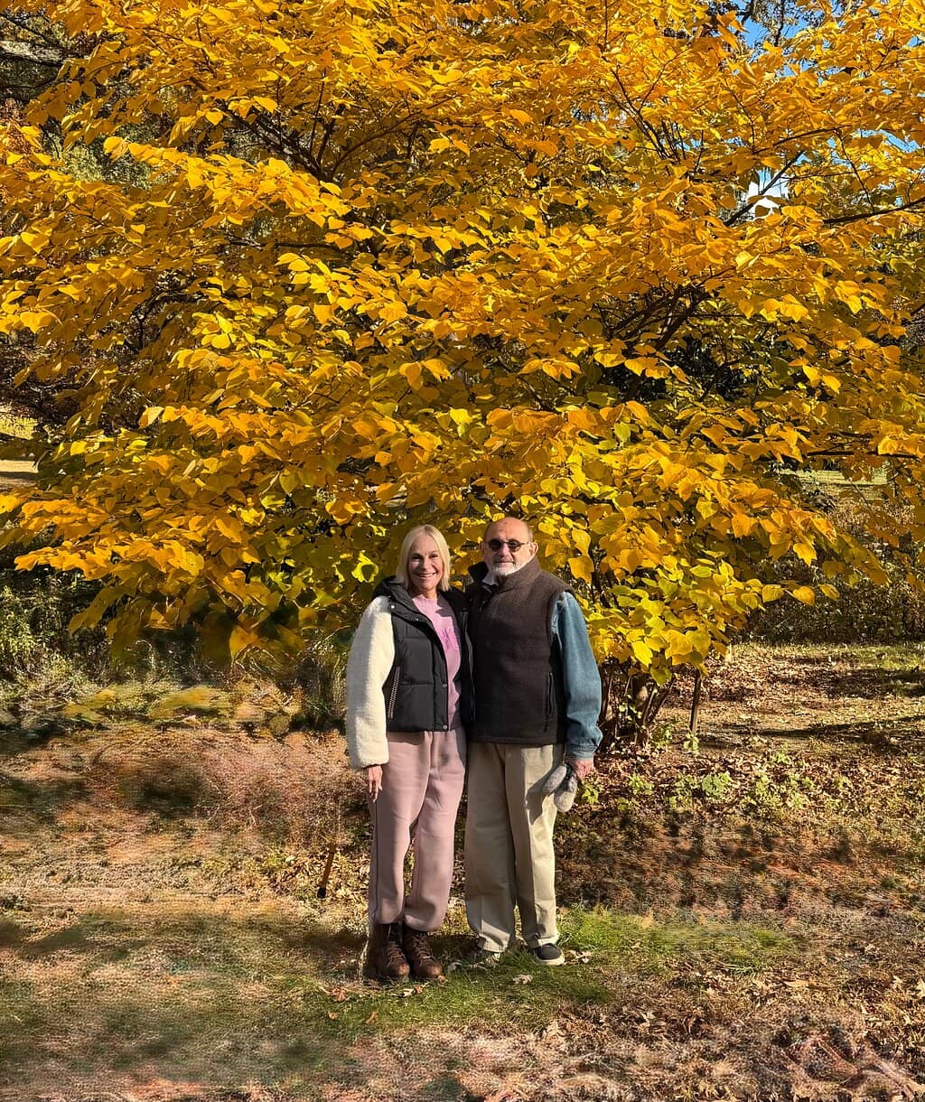 Cherry Blossom Spectacle