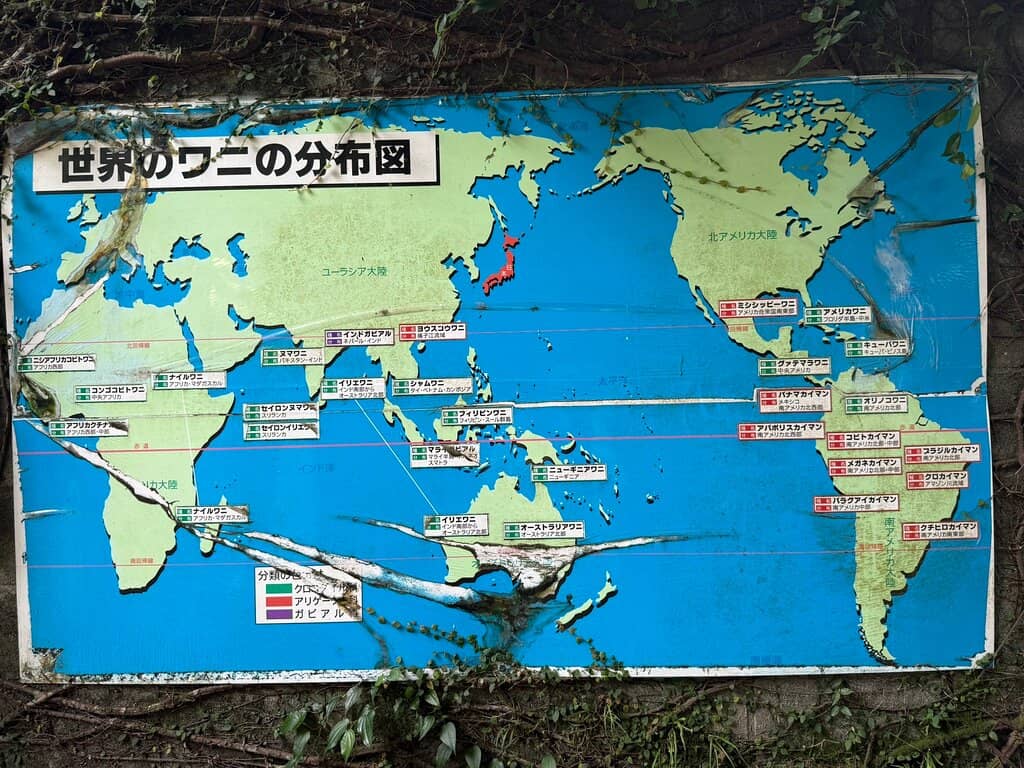 Lush Tropical Greenhouses