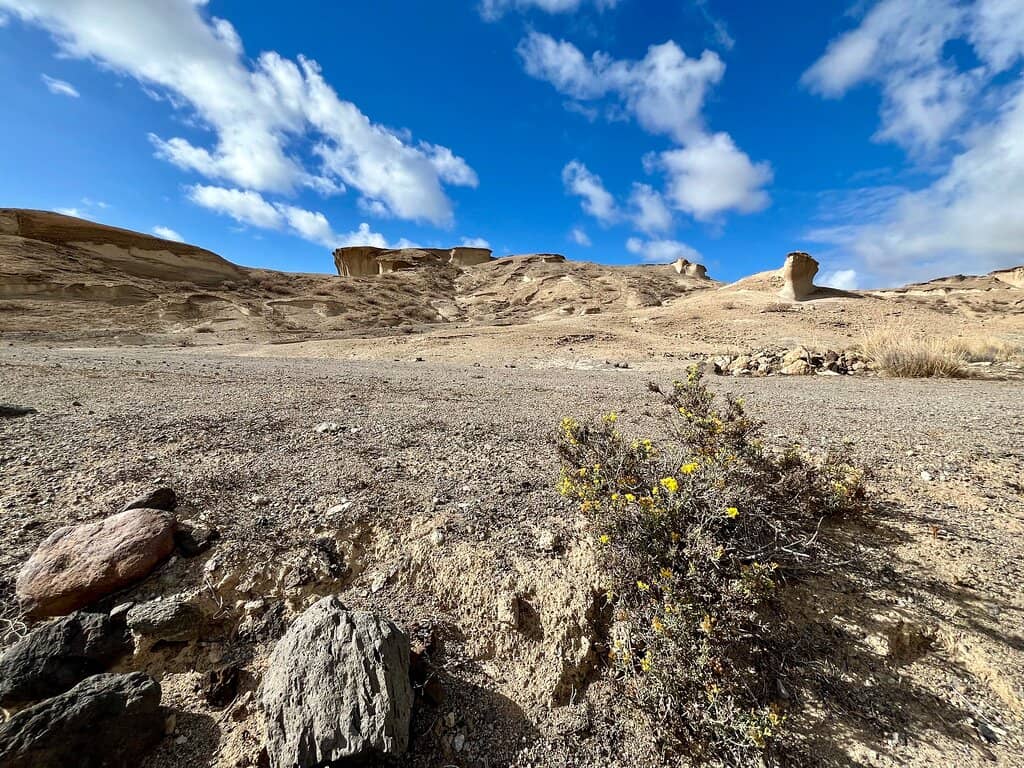 Archaeological Remains