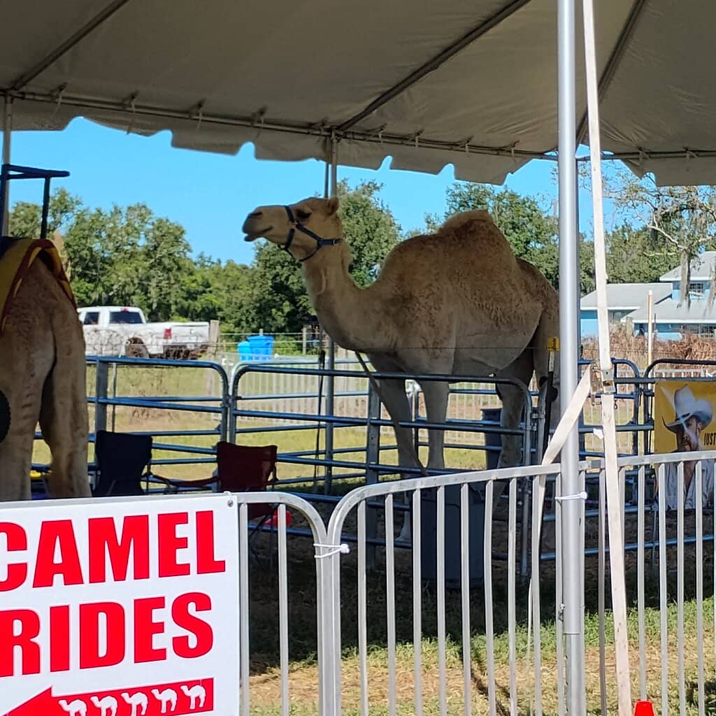 Winery & Cider Tasting