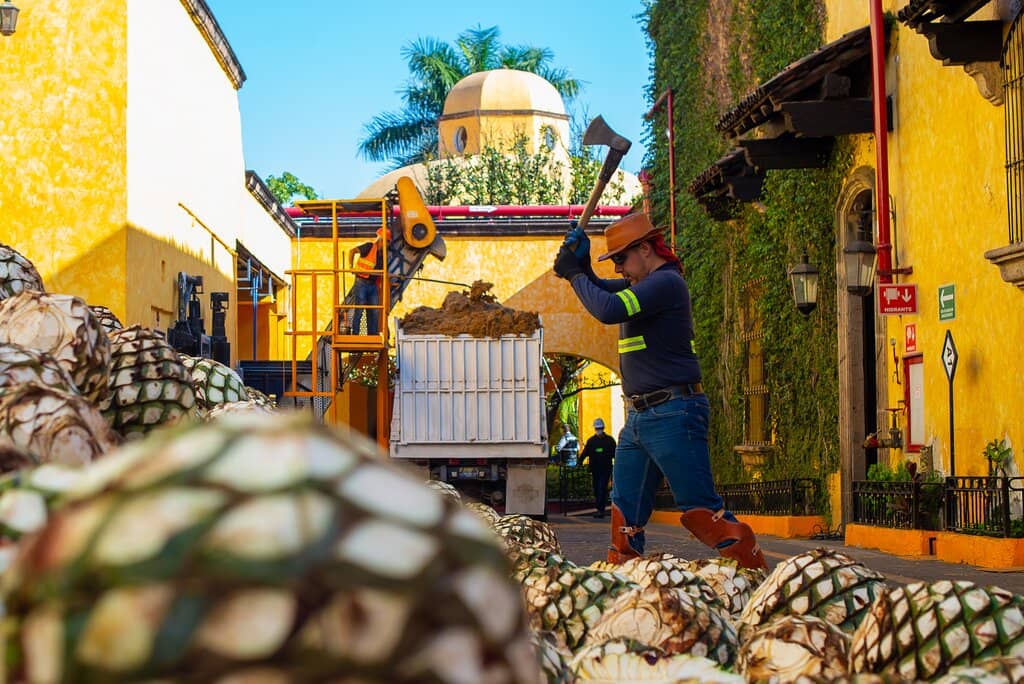 La Rojeña Jose Cuervo Distillery (2026) – Best of TikTok, Instagram ...