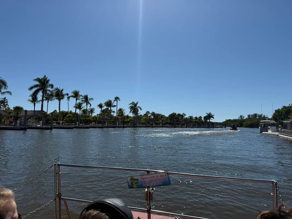 Alligator Encounters & Shows