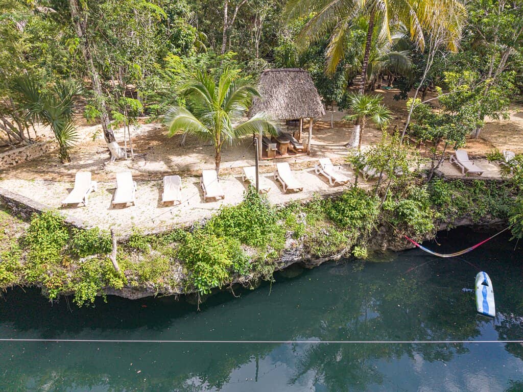 Tranquil Jungle Ambiance