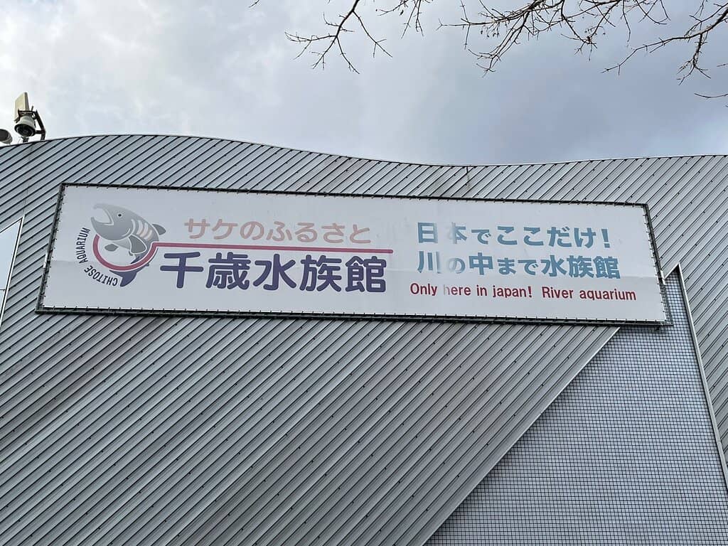 Salmon Life Cycle Exhibits