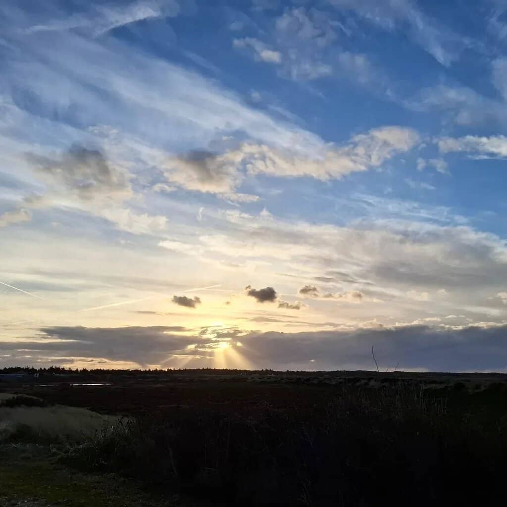 Pebble and Sand Shores