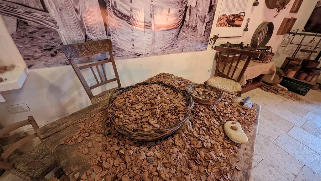 Connections to Local Wines