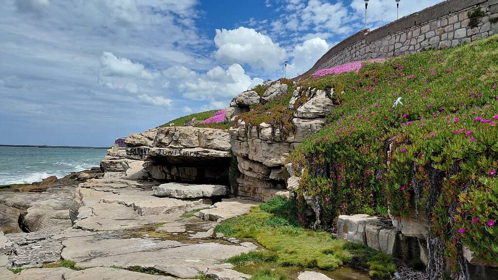 Fuerteventura's Family Haven