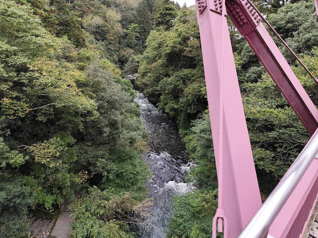 Riverside Cafe Views