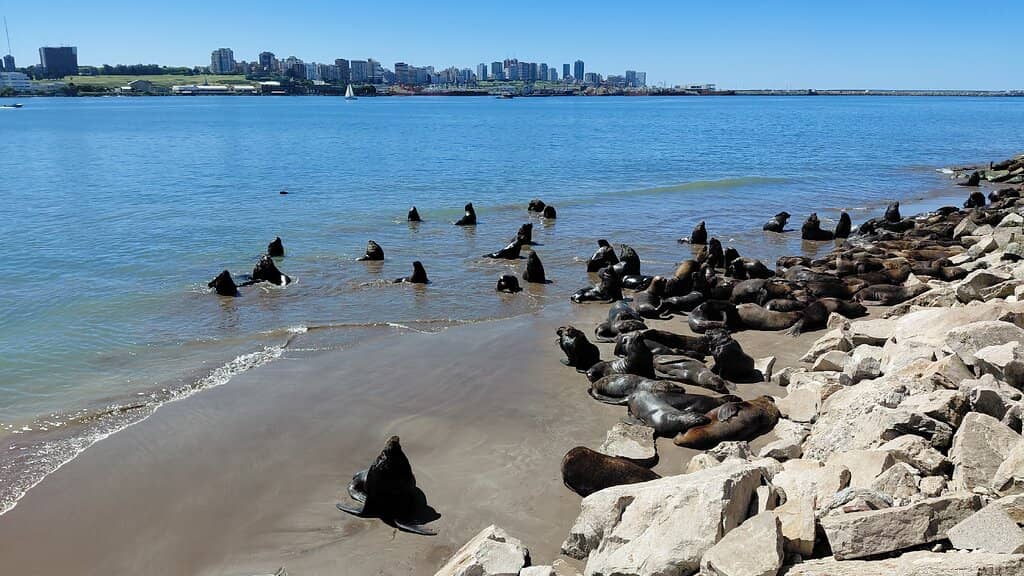 Abundant Seafood Platters
