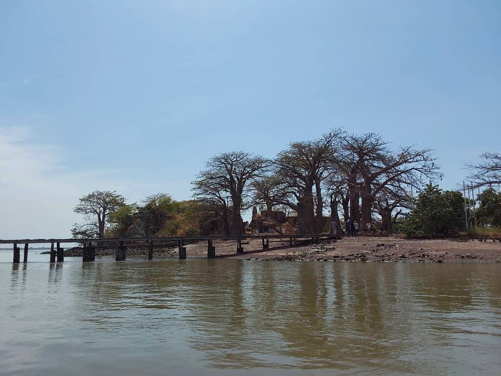 The Gambia River Views