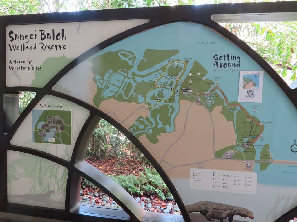 Migratory Bird Spectacle