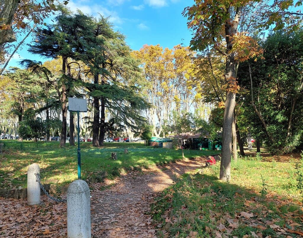 Panoramic City Views