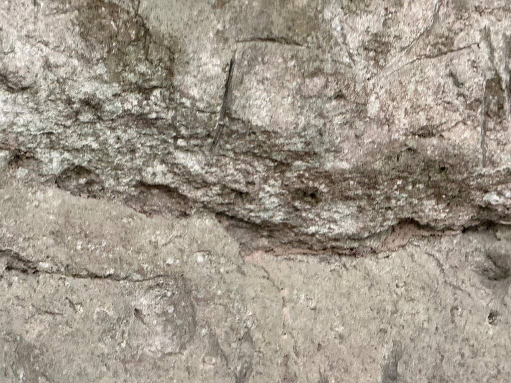 Cultural Significance