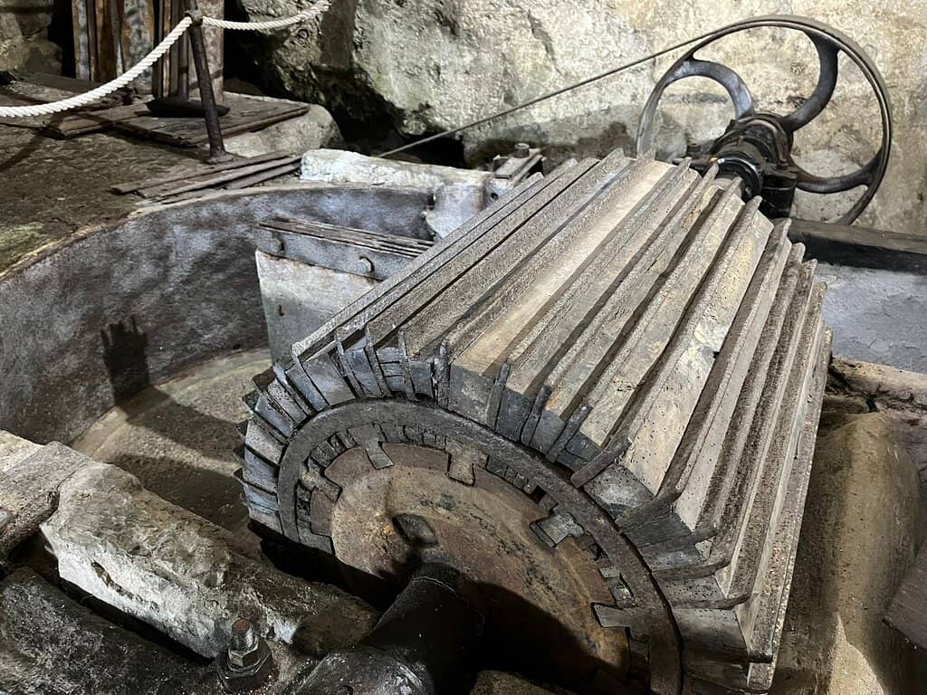 Passionate Local Guides