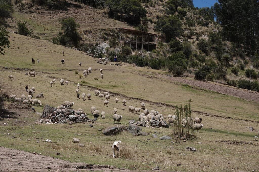 Inca Baths