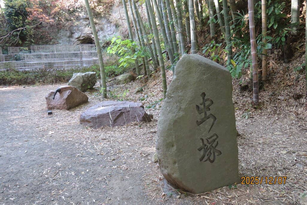 Mountain Trail Viewpoint