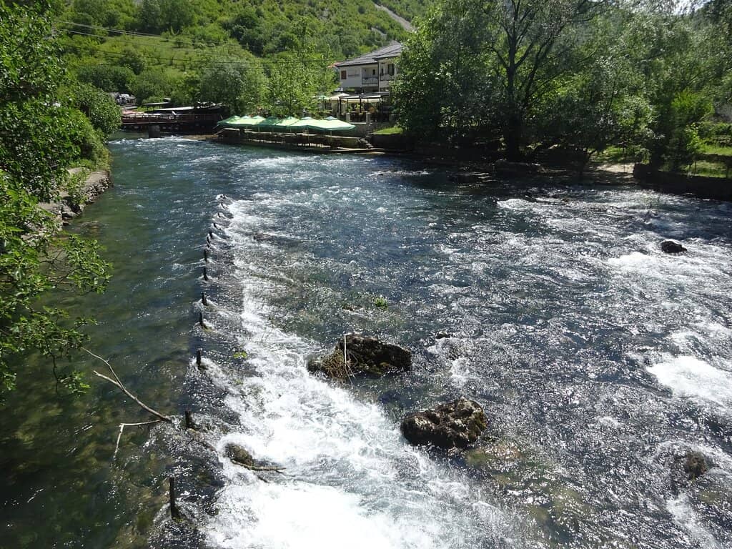 Local Produce & Cuisine