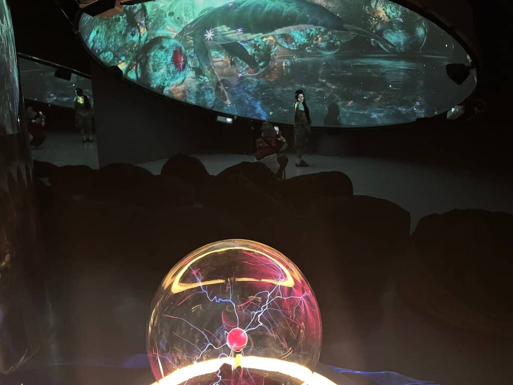 Interactive Art Installations