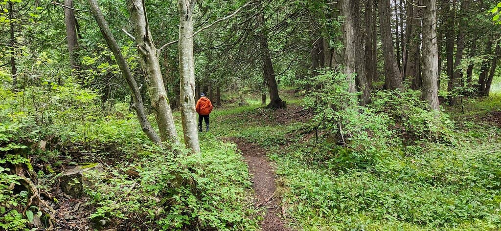 Summer Festival Concerts