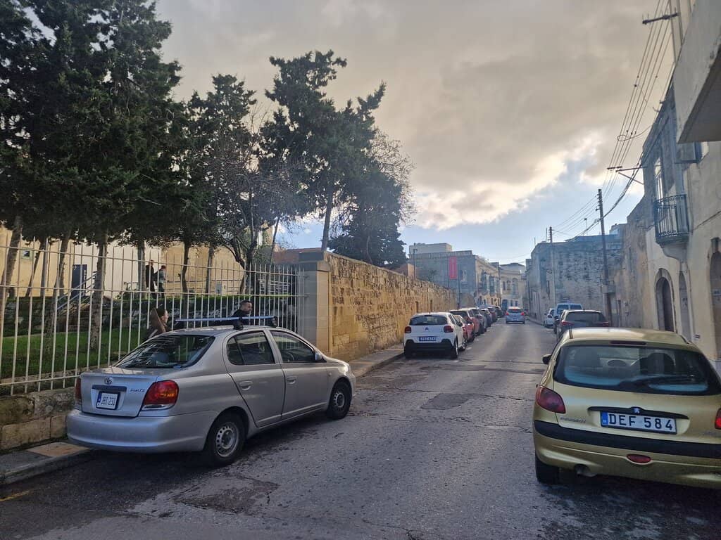 Surprising Museum Collection