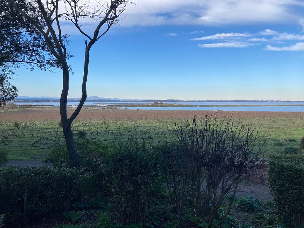 Lagoon Views & Wildlife
