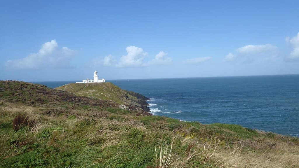 Marine Wildlife Spotting