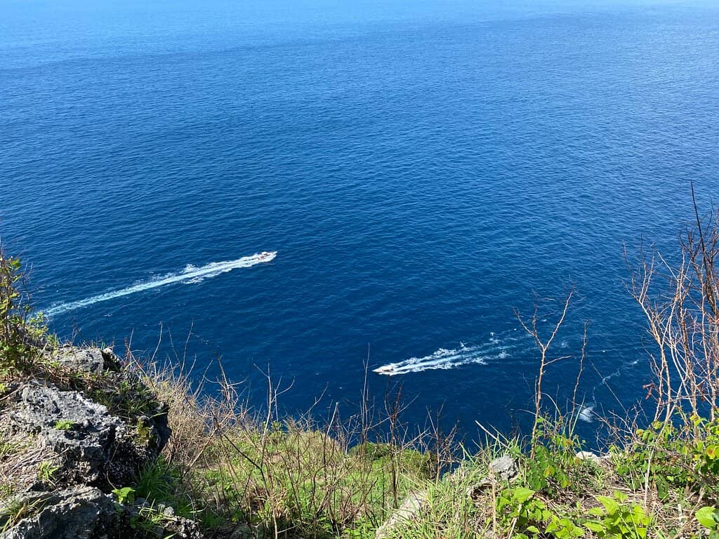 Witness the Komodo Dragons