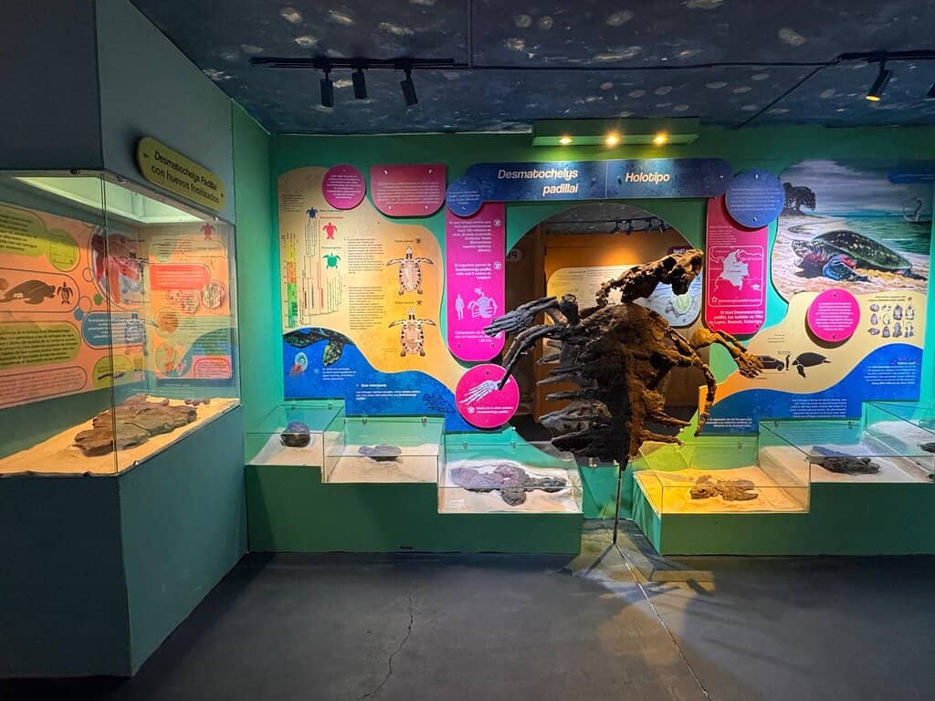 Research and Education Hub