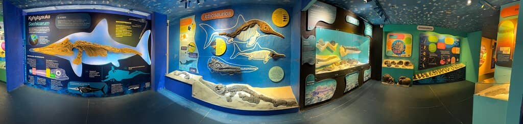 Hands-On Paleontology