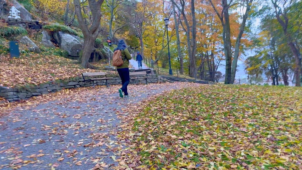 Art Nouveau Architecture