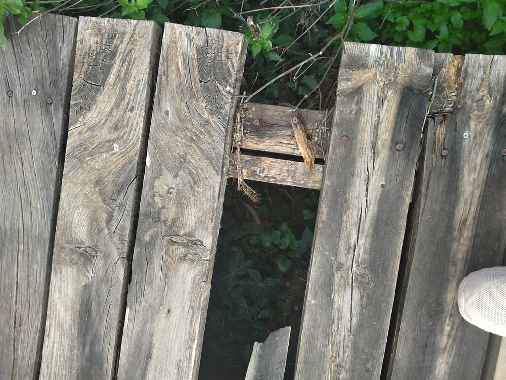 Enasma Cafe Ambiance