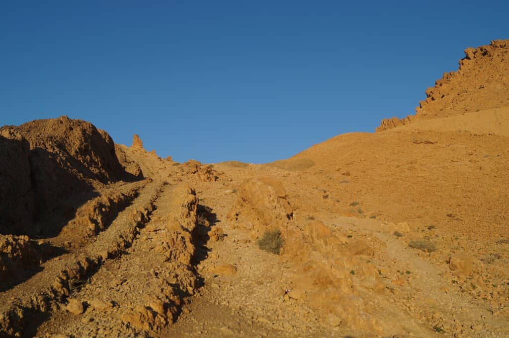 Panoramic Mountain Views