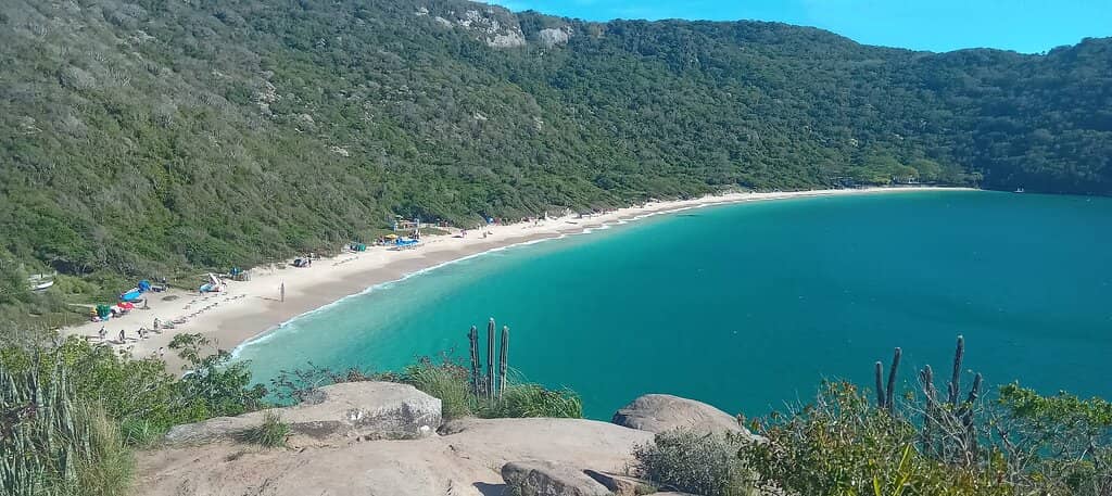 Crystal Clear Waters