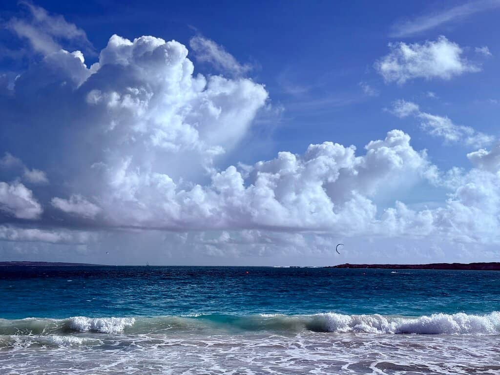 Snorkeling Opportunities