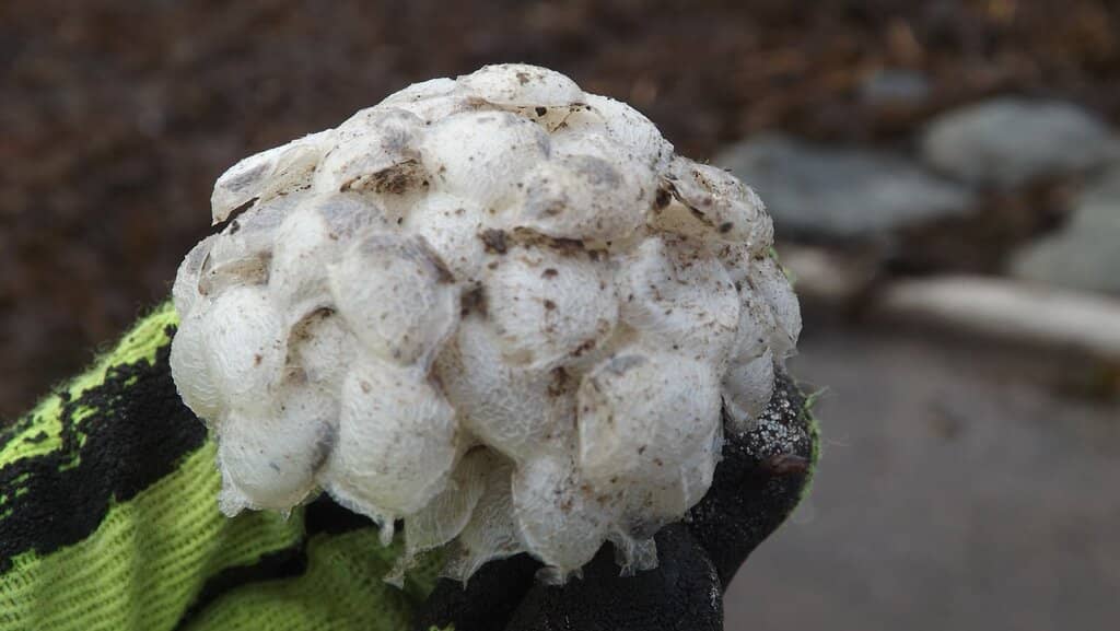 Coastal Caves Exploration