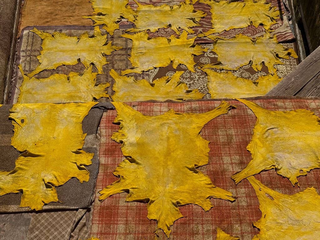 Panoramic Medina Views